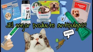 MEJOR PRODUCTO ANTIPULGAS [upl. by Arahd]