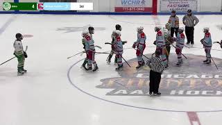 Edina vs Madison Capitals [upl. by Crispas]