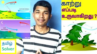 Sea Breeze and Land Breeze கடல் காற்று  நிலக்காற்று என்றால் என்ன TAMIL SOLVER [upl. by Vashtee]