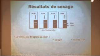 F Guignot  JRE Journée de la recherche équine 2013  Gestations après transfert d’embryons équins [upl. by Yeo]