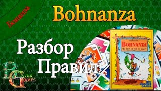 Bohnanza Das Würfelspiel German EditionEpisode 101 玩一次 by Board Game Base [upl. by Trici411]