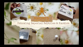 Imperial Reptiles amp Exotics Unboxing [upl. by Eelyac]