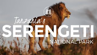 Serengeti National Park Tanzania  2023 [upl. by Nwahsid]