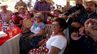 CONTROVERSIA Las panuqueras VS Tradición Genuina [upl. by Bambie]