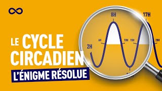 COMPRENDRE LE CYCLE CIRCADIEN HORLOGE INTERNE [upl. by Yedarb]