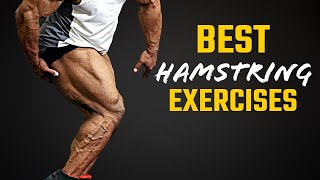 Best Hamstring Exercises  बेस्ट हैमस्ट्रिंग एक्सरसाइजेज  Yatinder Singh [upl. by Herculie]