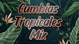 CUMBIAS VIEJITAS TROPICALES🎶CUMBIAS TROPICAL MIX 2023🌵🍉TROPICAL FLORIDA LOS KARKIS FIRO OLIVARES [upl. by Aveneg803]