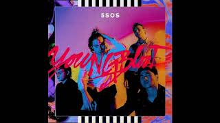 5 seconds of Summer  Youngblood Gery Rydell Remix [upl. by Haelat]