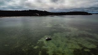 This Place Is So Special  Kingfish Sharks amp Snapper  Fishing NZ [upl. by Arie]