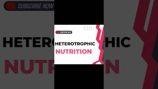 HETEROTROPHIC NUTRITION [upl. by Brass340]