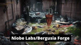 How To Get To Niobe LabsBergusia Forge In Destiny 2 [upl. by Keller9]