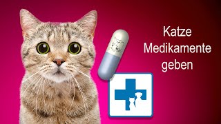 Wie gebe ich meiner Katze Medikamente und Tabletten [upl. by Ahsatan29]