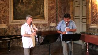 G Rossini Sonata III for two clarinets M Mangani  Sergio Bosi amp Corrado Giuffredi [upl. by Bondie]