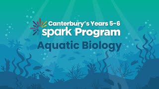 Canterbury’s Years 56 Spark Program  Aquatic Biology [upl. by Nonek]