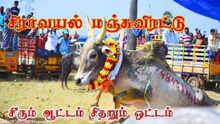 2024 சிராவயல் மஞ்சுவிரட்டு kdphotography007 [upl. by Nhepets]