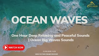 One Hour Deep Relaxing and Peaceful Sounds  Ocean Big Waves Sounds [upl. by Aihseya]