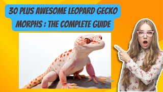 30 plus Awesome Leopard Gecko Morphs  The Complete Guide [upl. by Ahsinek]