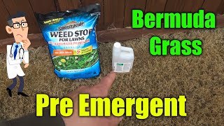 Pre Emergent for Bermuda Grass  Amazing results with preemergent lawns [upl. by Idak]