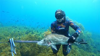 Wettie TV  HUNTING Techniques to improve SPEARFISHING [upl. by Hilten56]