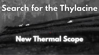 Thylacine Search Days 25  Infiray TS60 Thermal Scope Testing [upl. by Marshal155]