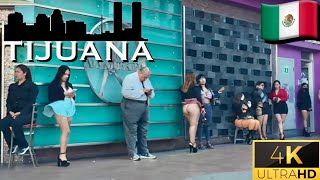 Tijuana In The Streets  Zona Norte Episode 2 [upl. by Mian]