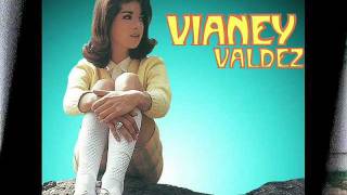 Vianey Valdez  Amarga Realidad [upl. by Adyl683]