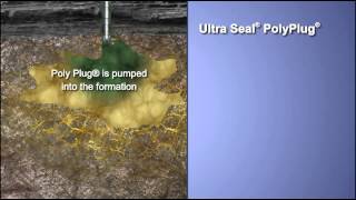 Ultra Seal®Poly Plug® [upl. by Allwein224]