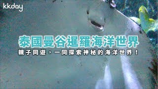 KKday【泰國超級攻略】探索神秘海洋世界！曼谷暹羅海洋世界 [upl. by Hgierb]