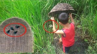 Net‌ Fishing‌ Betta  How to Net‌ Betta‌  Kampot Province  CAMBODIA‌ [upl. by Neslund]