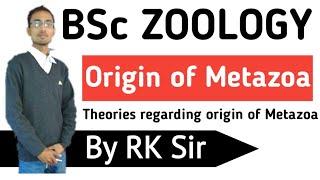 Zoology Origin of Metazoa Theories regarding the Origin of Metazoa BSc [upl. by Agon]