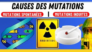 Comment se produisent les mutations Tout ce que vous devez savoir [upl. by Ynitsed610]