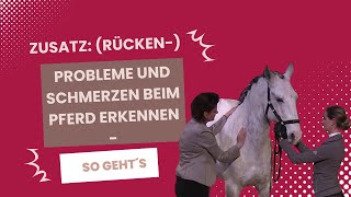 Zusatz Rücken Probleme und Schmerzen beim Pferd erkennen  so geht´s [upl. by Udela241]