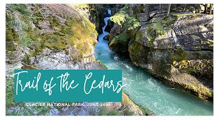 Trail of the Cedars  The most beautiful hike at Glacier National Park [upl. by Egiaf]