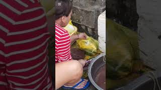 ytshortvidfishbangus baksak presyo 5000 tilapia 2000 BILI NA LIBRE PA ANG LINIS [upl. by Nahum]