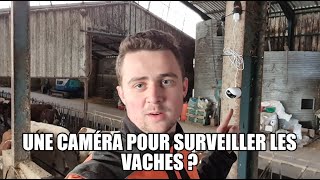 Une caméra pour surveiller les vaches [upl. by Vanya]