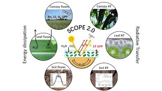 8 SCOPE mSCOPE multilayer [upl. by Anhsirk608]