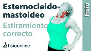 Cómo estirar correctamente el músculo esternocleidomastoideo [upl. by Llenrev]