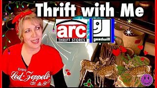 Crazy Thrift Lady ✨ Thrift Store Treasure Hunt for Resale [upl. by Kandy]