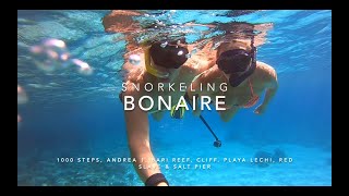 Snorkeling Bonaire [upl. by Krissy]