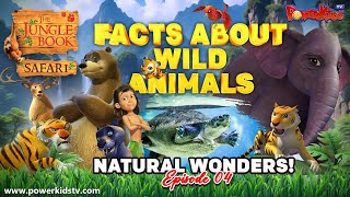 NATURAL WONDERS 4  FACTS ABOUT WILD ANIMAL  Jungle Book Safari  Planet Animal  Animal Kingdom [upl. by Neelrahs]