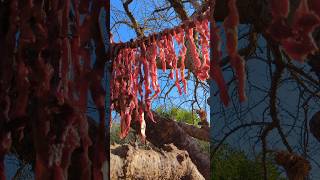 Drying Meat at Hadzabe village meal africantribe africa [upl. by Anilasor]