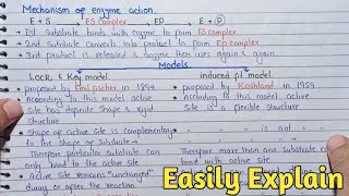 Mechanism Of Enzyme Action  Lock And Key Models And Induced Fit Model  Class 11 [upl. by Haroppiz]