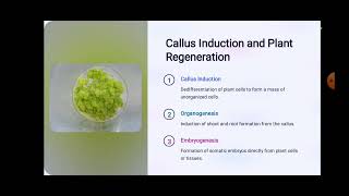 BP405T PHARMACOGNOSY amp PHYTOCHEMISTRY I [upl. by Haiasi]