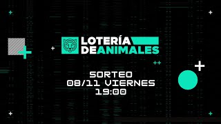 SORTEO 081124 VIERNES  1900 [upl. by Veneaux]