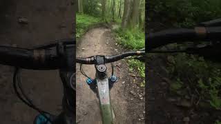 MTB💥Steeper than it looks Peaslake mtb mtblife downhill trail enduro surreyhills [upl. by Trainor]