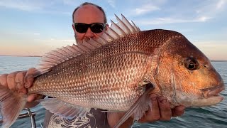 Awesome Snapper fishing in Westernport Primetime November Reds [upl. by Zetes]