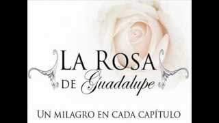 Musica de la rosa de Guadalupe [upl. by Zea]