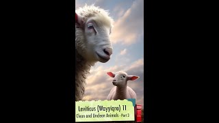 03 Leviticus Wayyiqra 11 Clean and unclean animals Part 3 [upl. by Akaenahs]