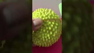 ASMR YUMMY DURIAN youtube satisfying youtubeshorts [upl. by Nike729]