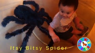 Itsy Bitsy Spider Nursery Rhyme song for children  Kids scary Spider at Park  Big Spider toy [upl. by Hallutama656]